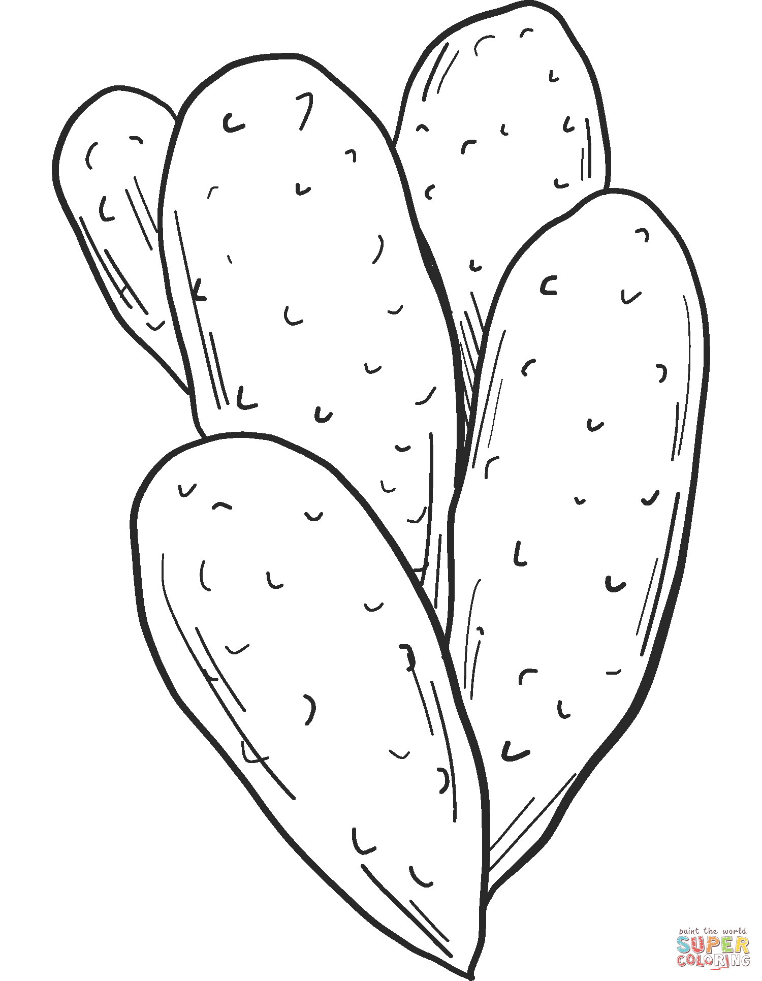 Print New Cactus For Children
