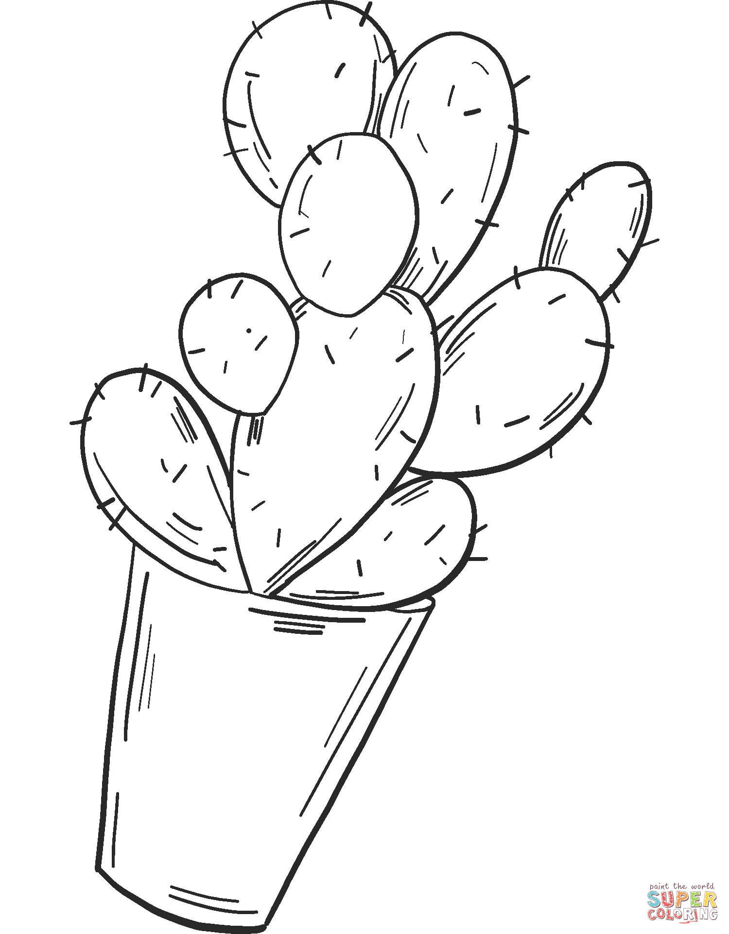 Printable New Cactus For Children And Adults
