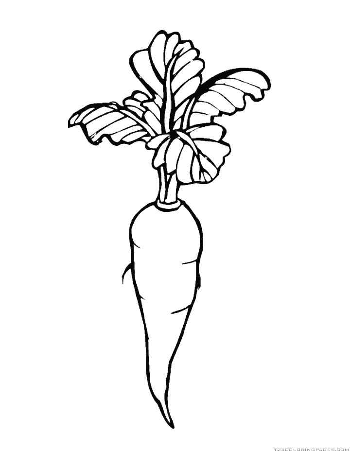 Printable Carrot For Children Coloring Page