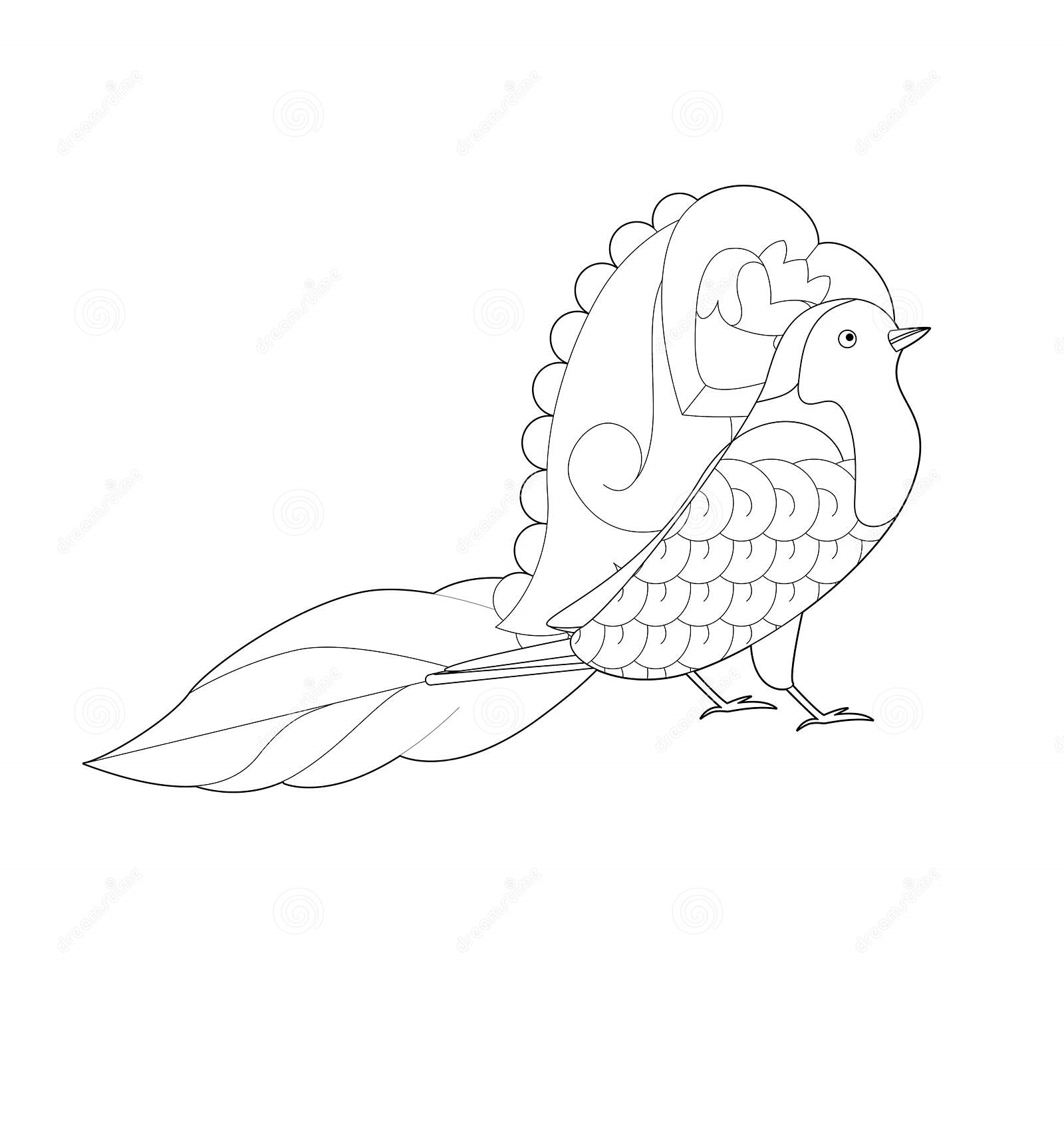 Simple Drawing Bird Of Paradise