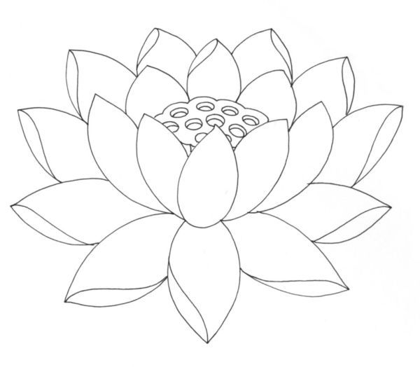 Nice Draw Lotus Coloring Page