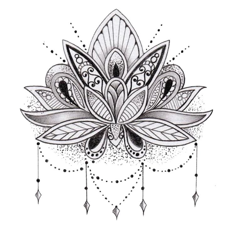 Draw New Lotus Flower Coloring Page
