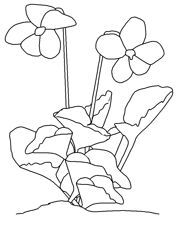Nice Bunch Of Violet Flowers Coloring Page