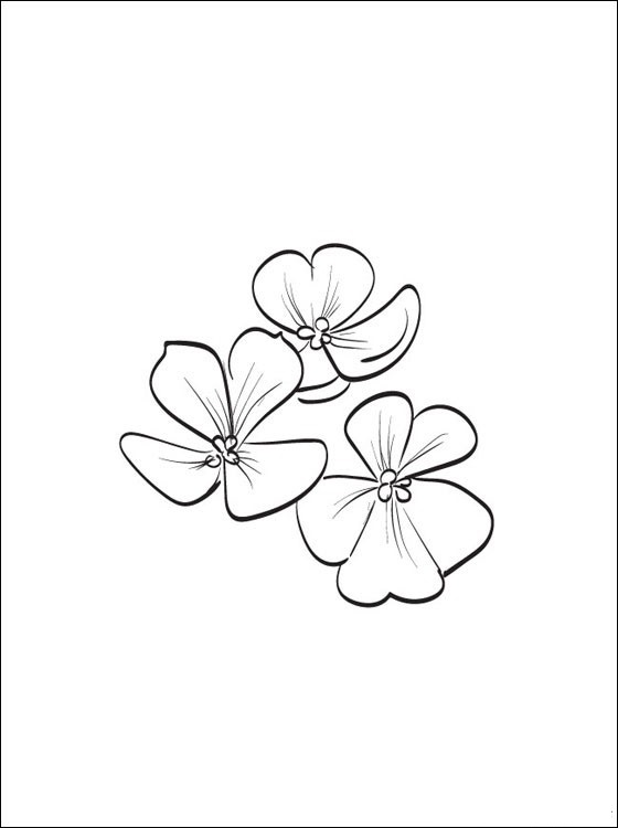 Draw Violet Coloring Page