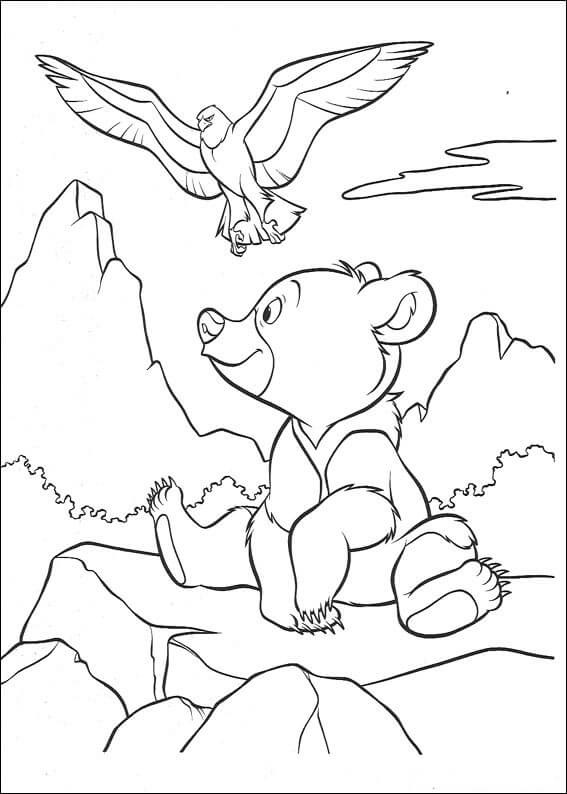 Little Bear And Eagle Coloring Page