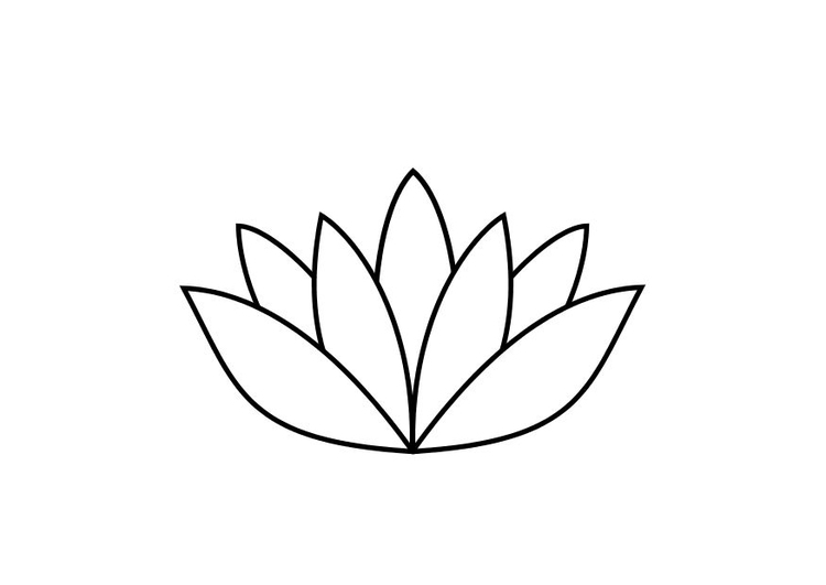 New Draw Lotus