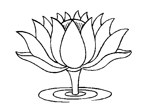 Learn Drawing Lotus Coloring Page