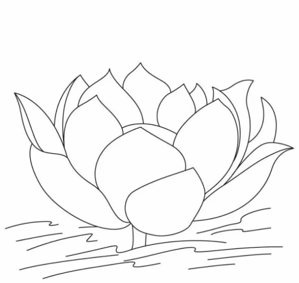 Nice Lotus Flower Coloring Page