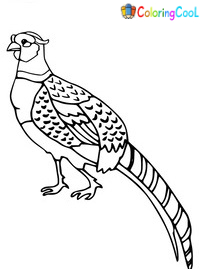 Pheasant Coloring Pages