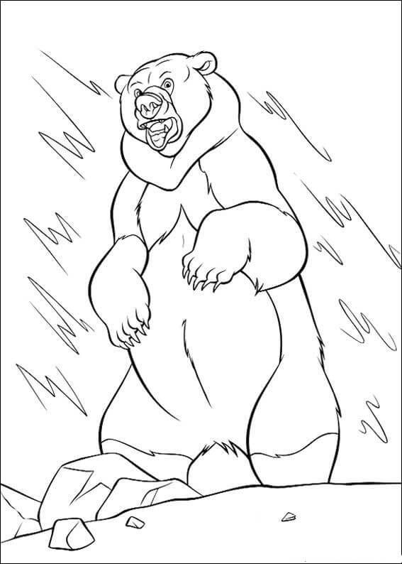 The New Bear Coloring Page