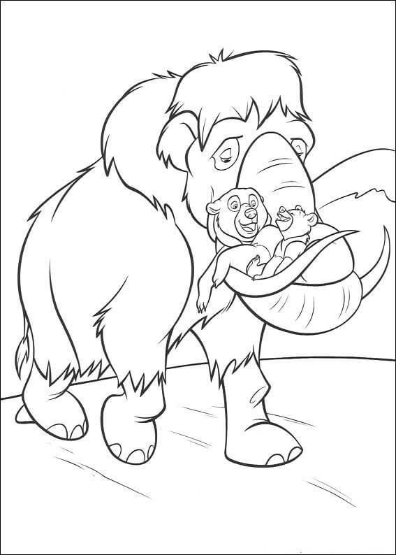 The Bear Saved Coloring Page