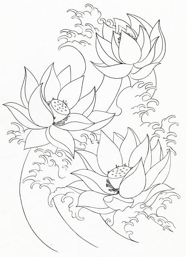 Three Lotus Flower Coloring Page