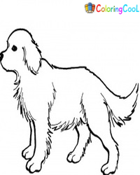 Desenhos para colorir de cães