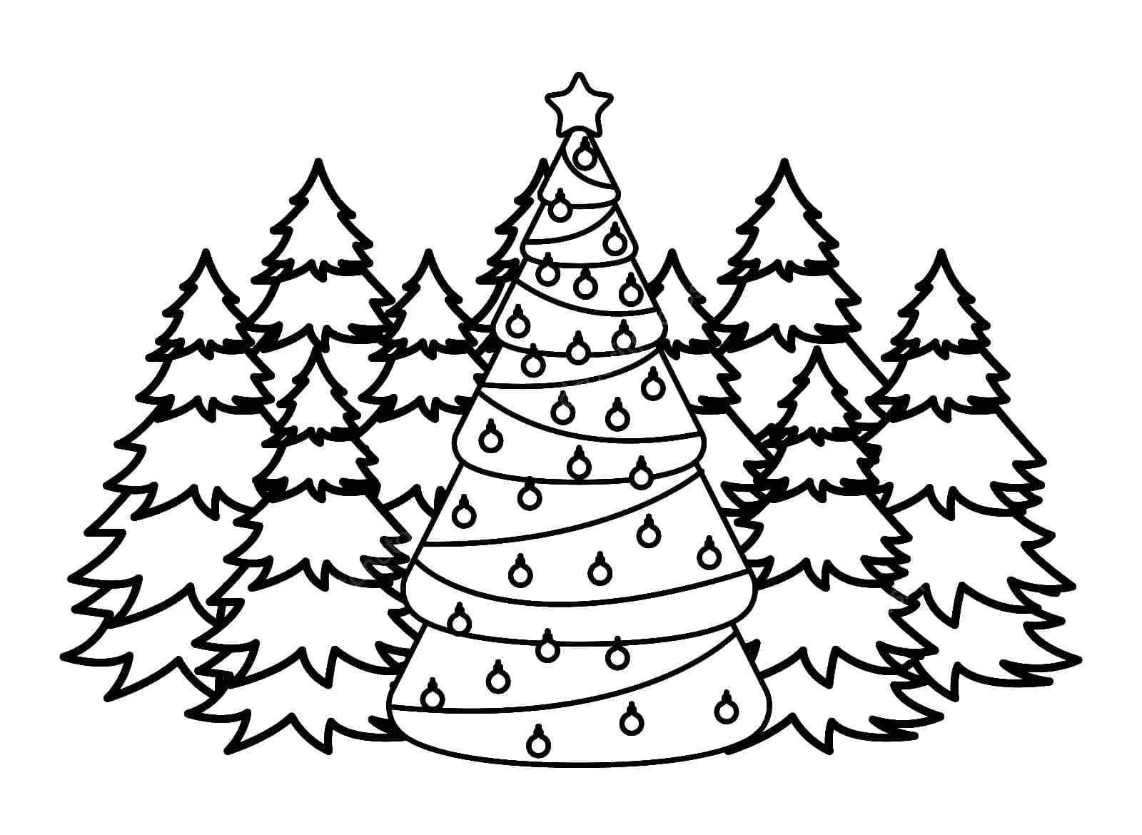 A Decorated Spruce Stands