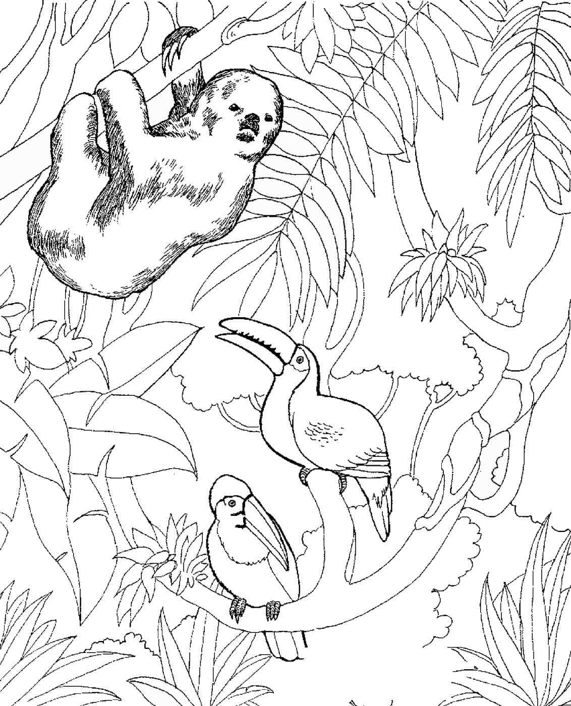 A Sloth Hangs Around The Parrots