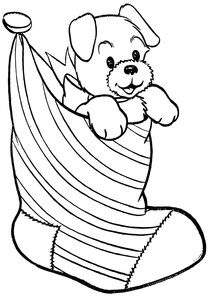 Bear In Christmas Stockings Coloring Page