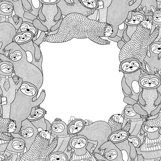 Beautiful Frame Of Sloths