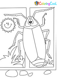 Cockroach Coloring Pages