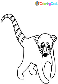 Coati Coloring Pages
