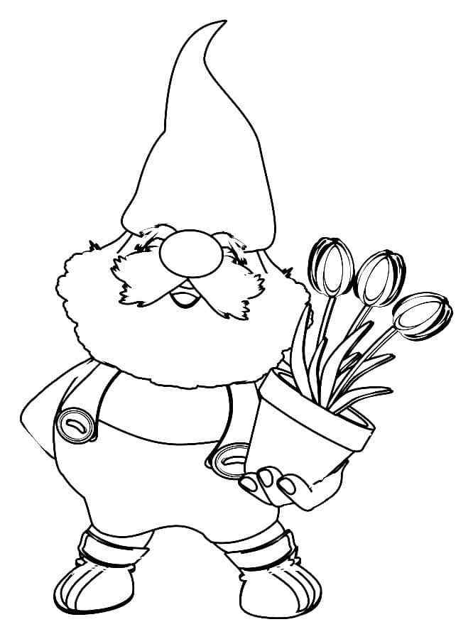 Cute Gnome With A Pot Of Tulips