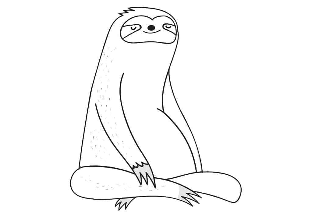 Focused Sloth In Yoga