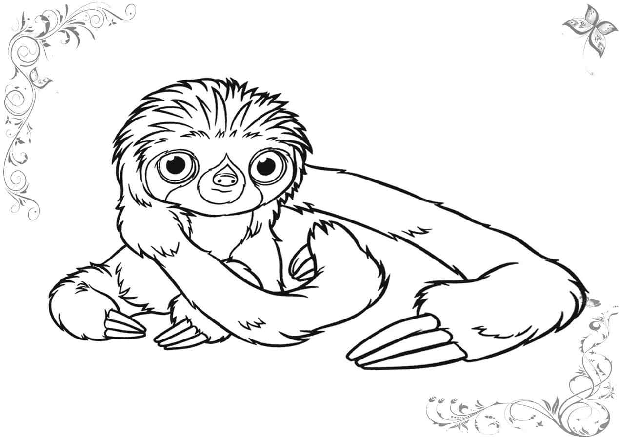 Long-armed Sloth With Kind Eyes Coloring Page
