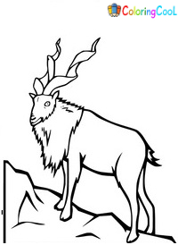 Markhor Coloring Pages