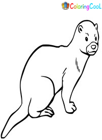 Mink Coloring Pages