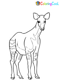 Okapi Coloring Pages