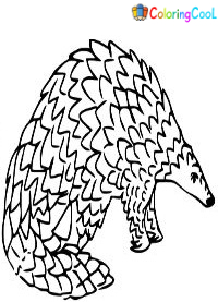 Pangolin Coloring Pages