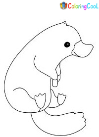 Platypus Coloring Pages