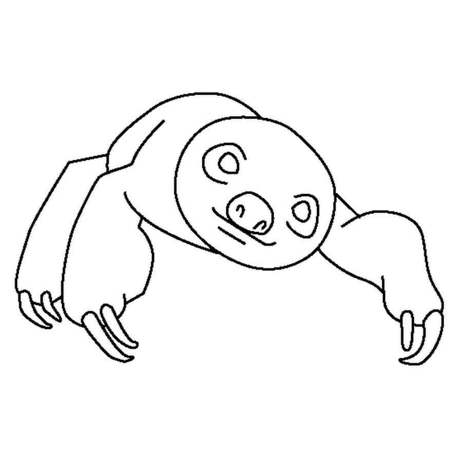 Rare Two-toed Sloth Coloring Page