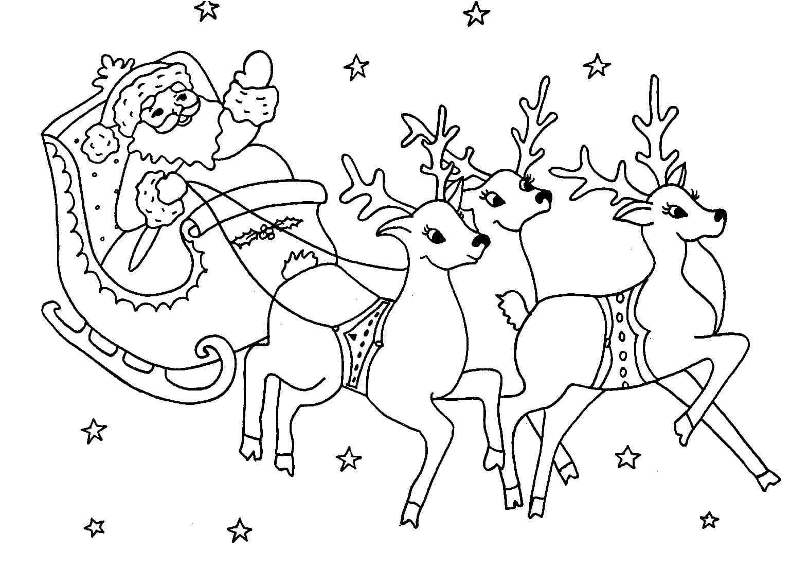 Reindeer Are Carrying Santa