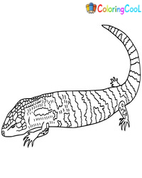 Skink Coloring Pages