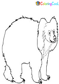 Sloth Bear Coloring Pages