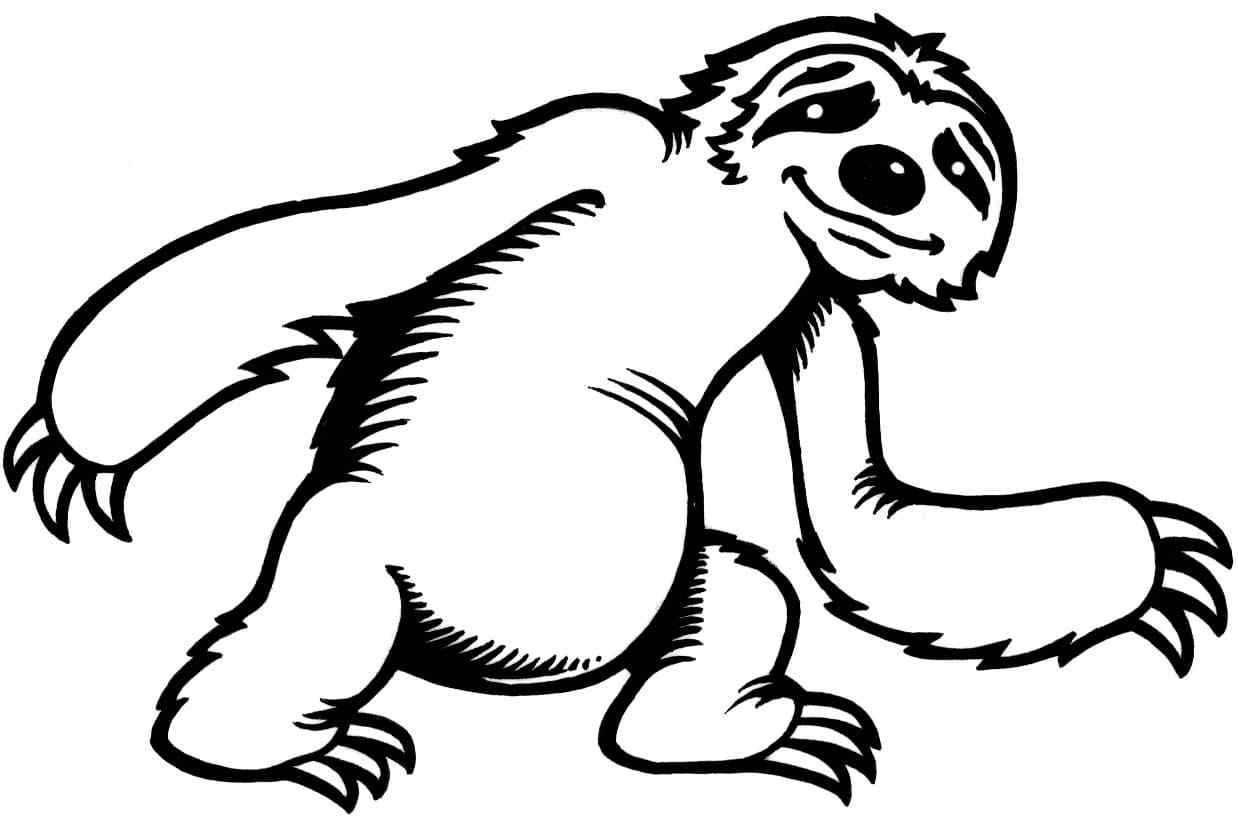 Sloth Moves Very Slowly Coloring Page