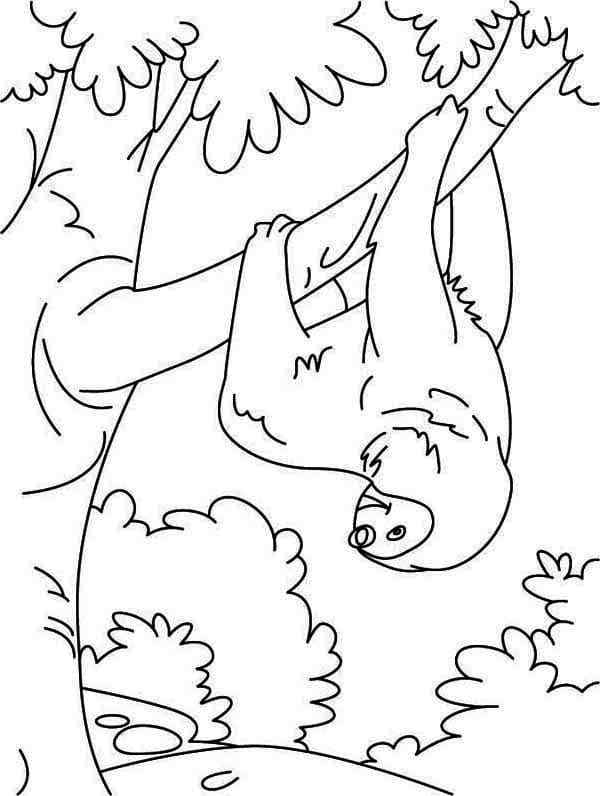 Sloth’s Favorite Pastime Coloring Page