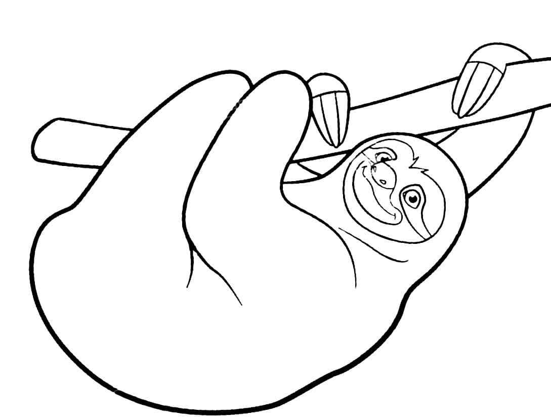 Smiling And Joyful Sloth Coloring Page