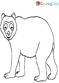 Spectacled Bear Coloring Pages