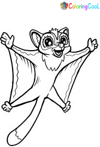 Sugar Glider Coloring Pages