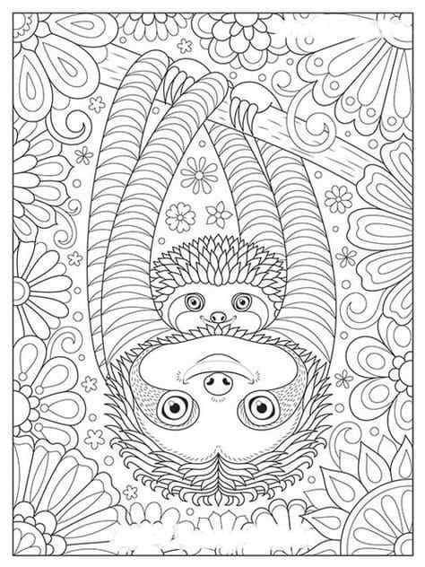 The Hedgehog Lies On The Sloth Coloring Page