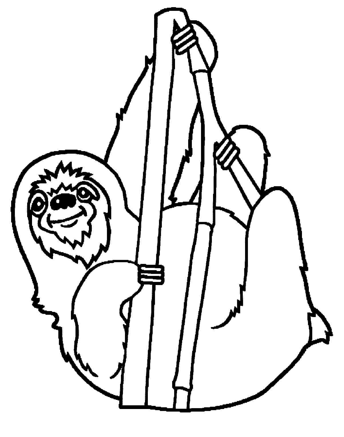 Three-toed Sloth Hung On A Branch Coloring Page
