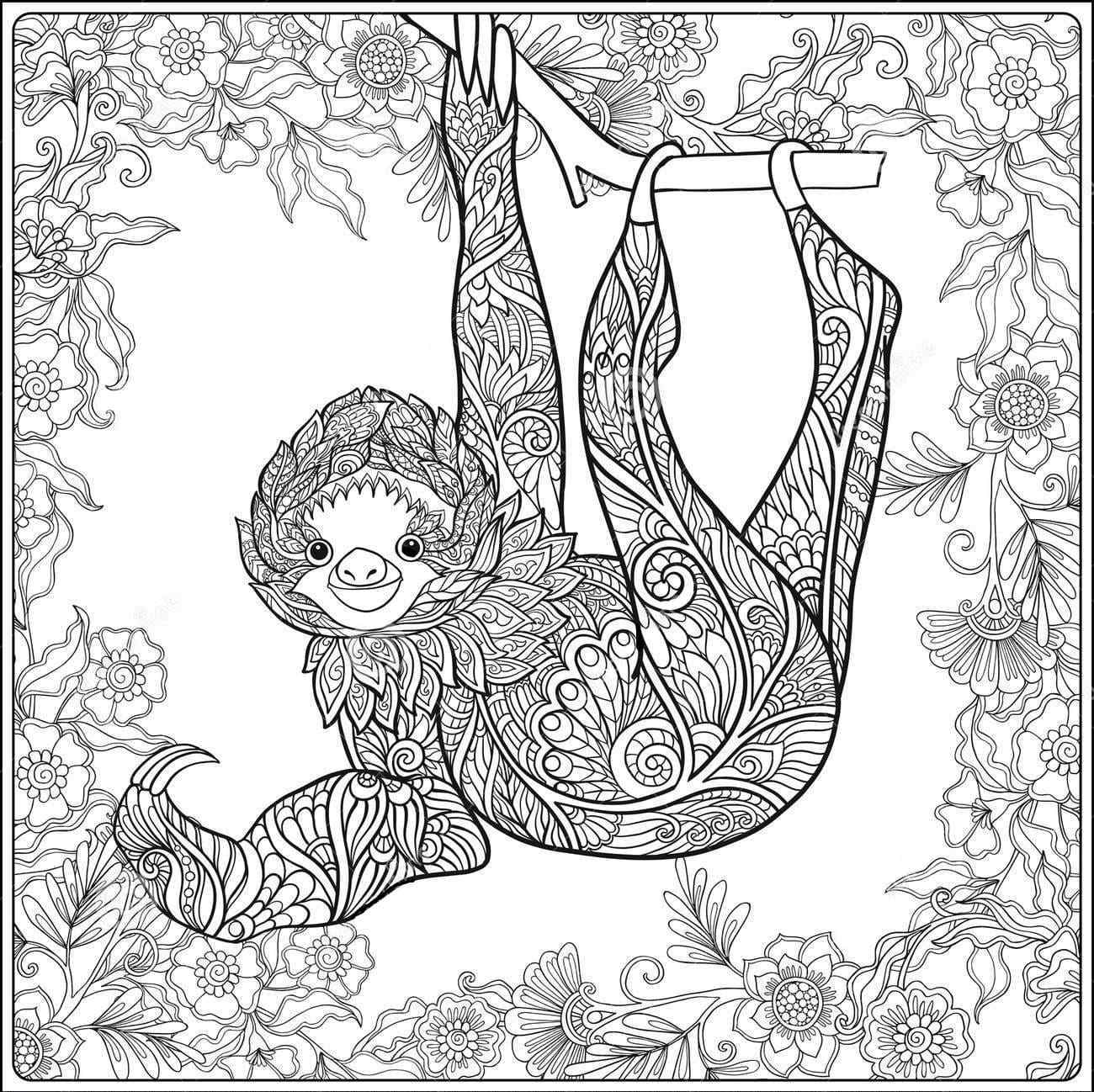 Decorate The Sloth Coloring Page