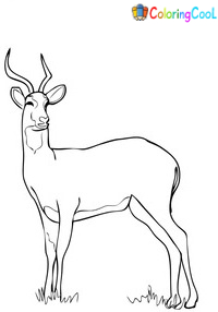 Antelope Coloring Pages