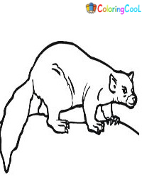 Weasel Coloring Pages