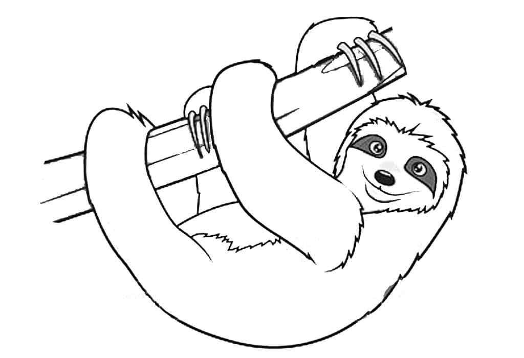 With Beautiful Eyes A Sloth On A Branch Coloring Page