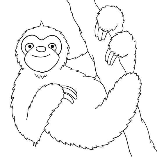 Sloth Holds Onto A Branch Coloring Page