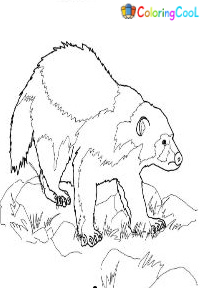 Wolverine Animal Coloring Pages