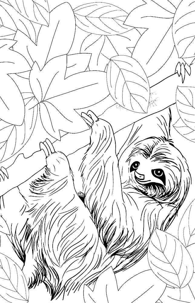 Wonderful Fluffy Baby Coloring Page