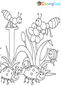 Cute Insect Coloring Pages